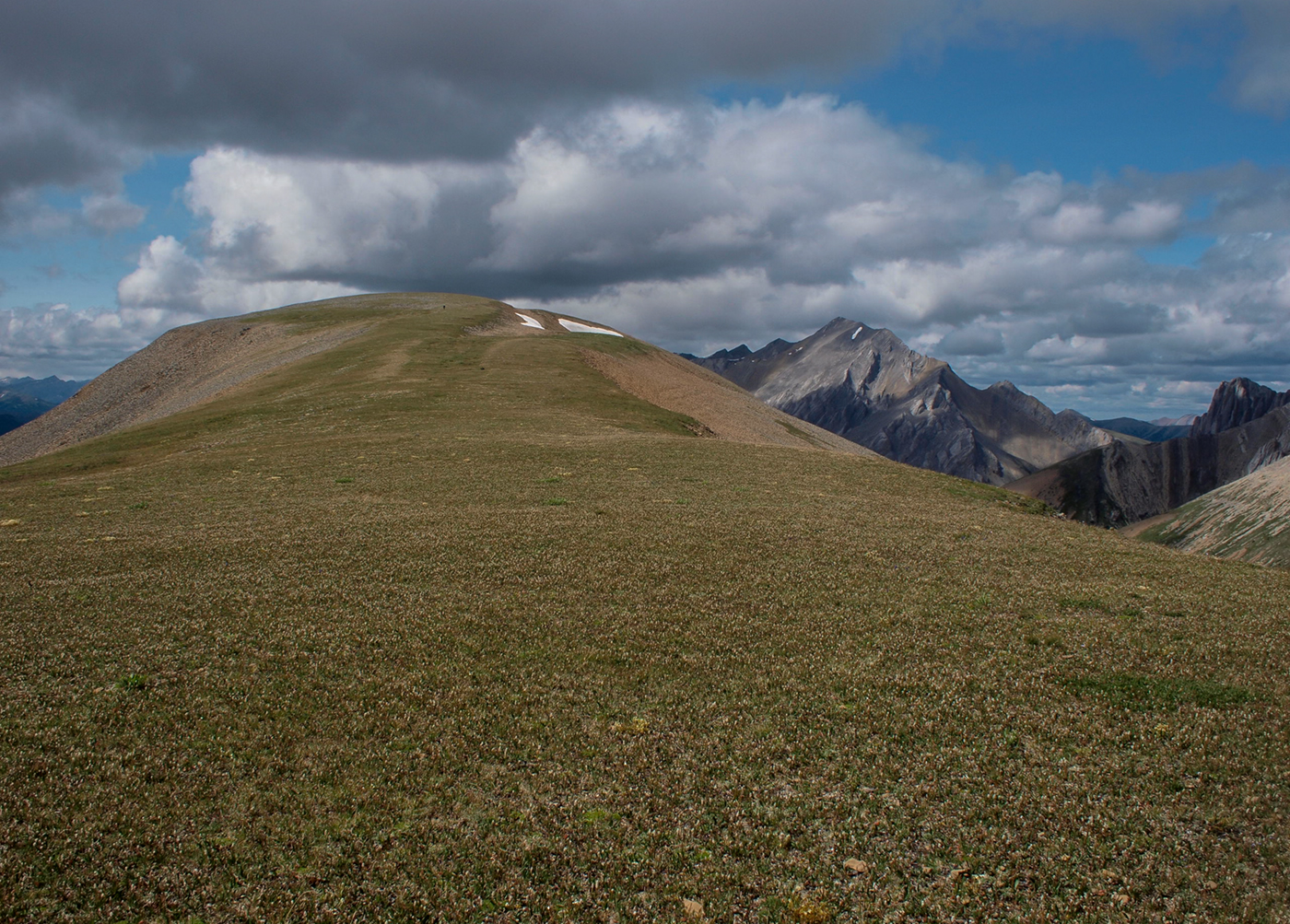 Willmore Wilderness Park, Rocky Mountains, Alberta, Canada